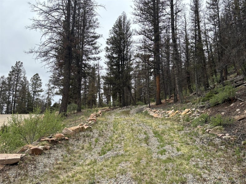 225 Trout Creek Ln, Fairplay, CO 80440