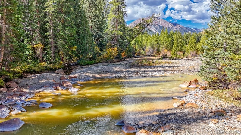 Tbd Highway 82, Twin Lakes, CO 81251