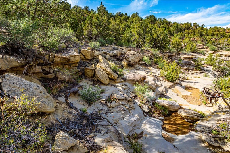 TBD L Bandito Trl, Florence, CO 81226