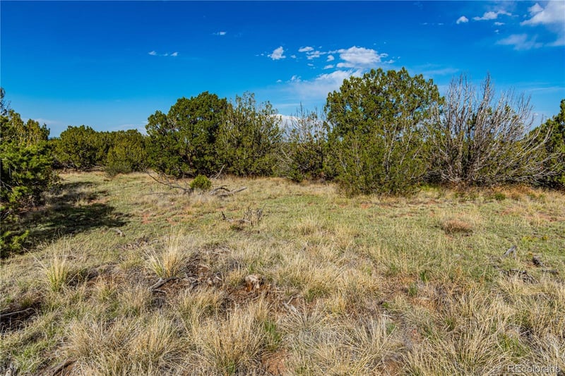 TBD L Bandito Trl, Florence, CO 81226