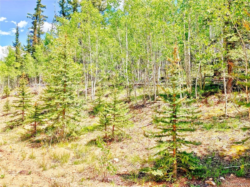 224 Apache Trl, Como, CO 80456