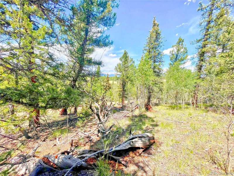 224 Apache Trl, Como, CO 80456