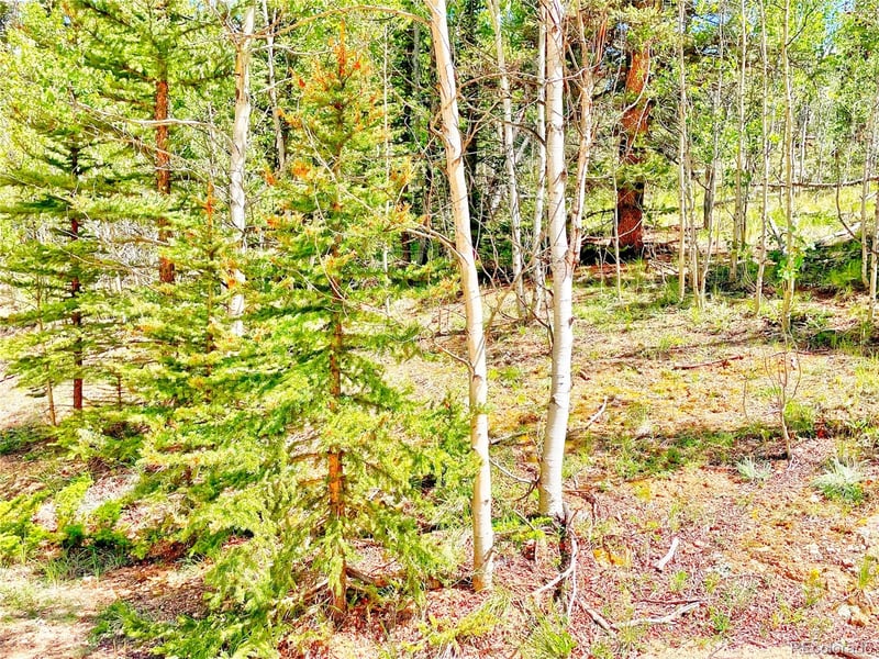 224 Apache Trl, Como, CO 80456
