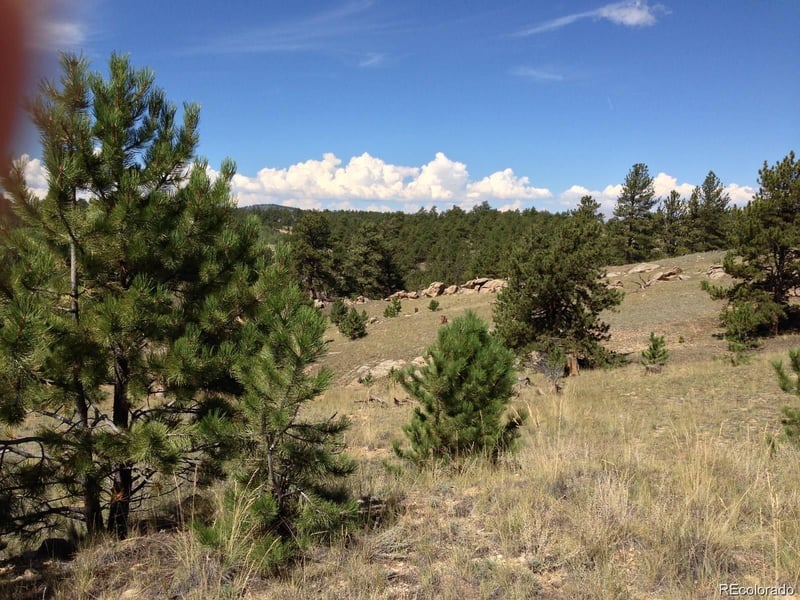 33 Jasper Way, Hartsel, CO 80449
