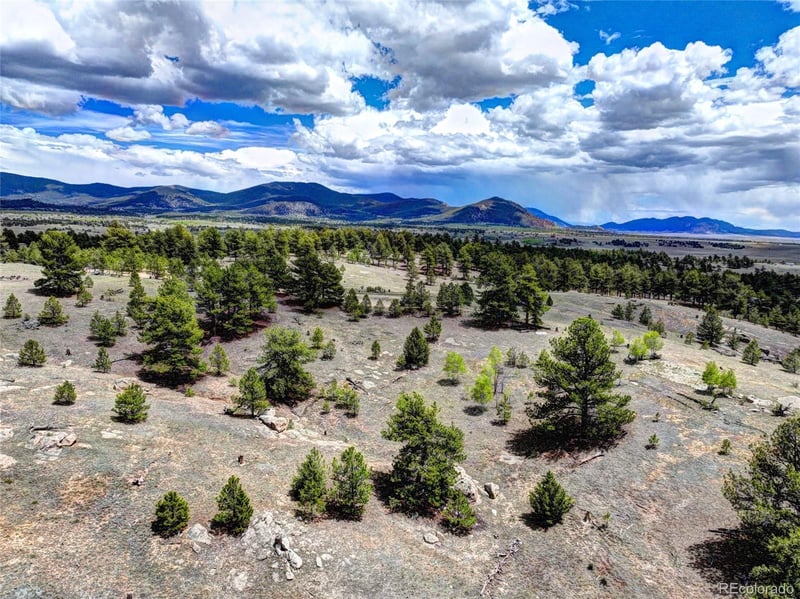33 Jasper Way, Hartsel, CO 80449