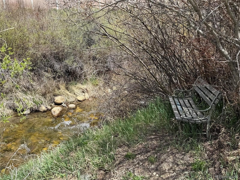 115 Straight Creek Dr, Dillon, CO 80435