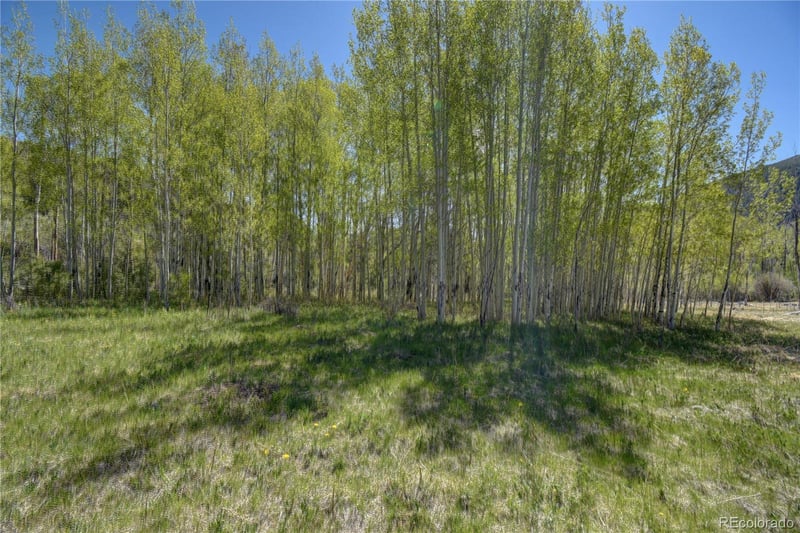 8525 County Road 225, Salida, CO 81201