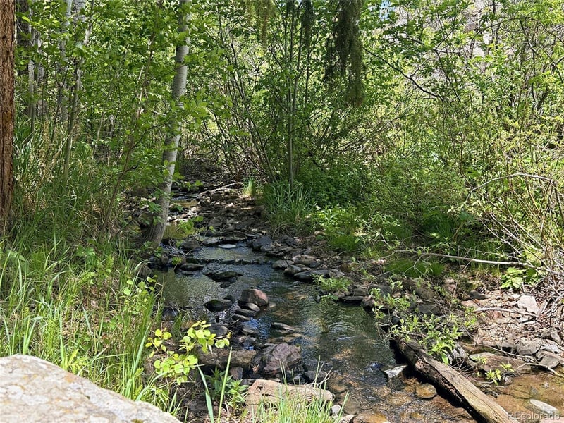 9717 S Deer Creek Canyon Rd, Littleton, CO 80127