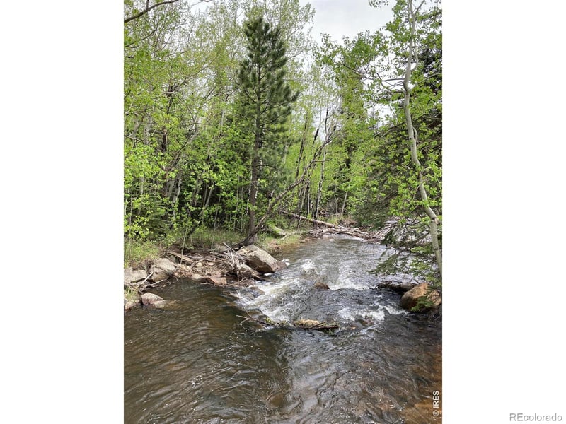 1064 Cold Springs Rd, Nederland, CO 80466