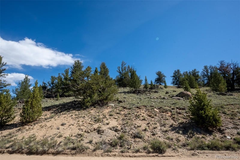 4484 Remington Rd, Jefferson, CO 80456