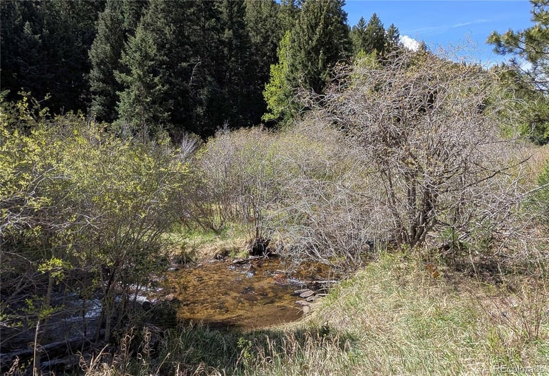 Highway 103 & Cascade Creek Rd, Idaho Springs, CO 80452