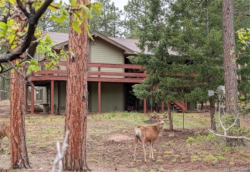 4490 Red Rock Dr, Larkspur, CO 80118