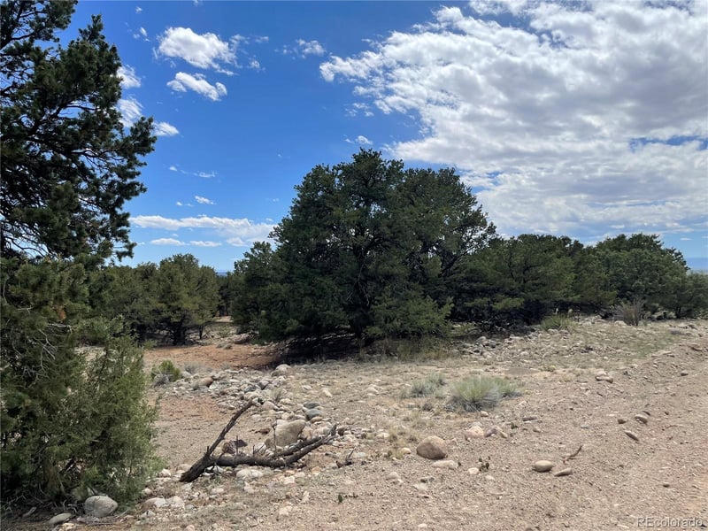 3855 Jubilant Way, Crestone, CO 81131
