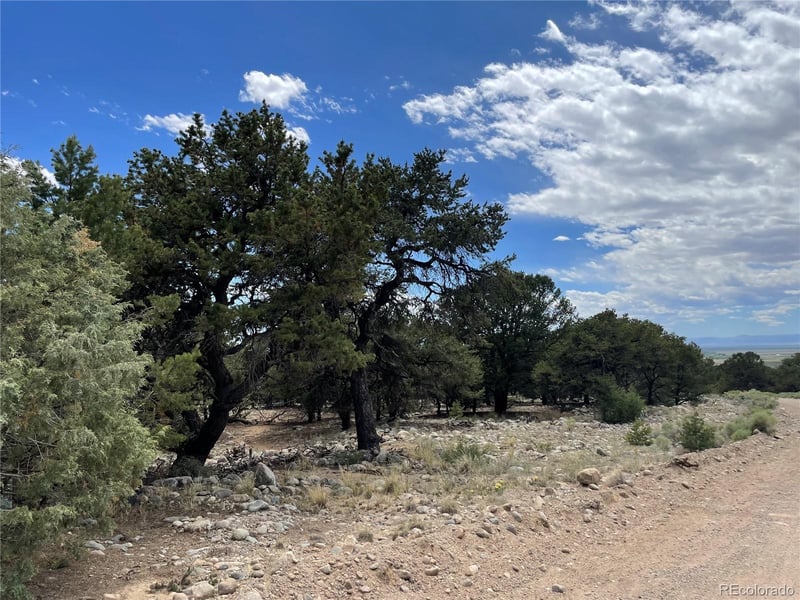 3855 Jubilant Way, Crestone, CO 81131