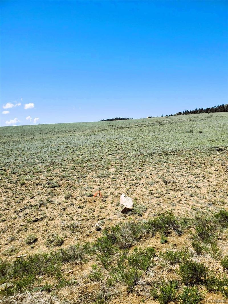 642 Mesa Rd Lot 40, Hartsel, CO 80449