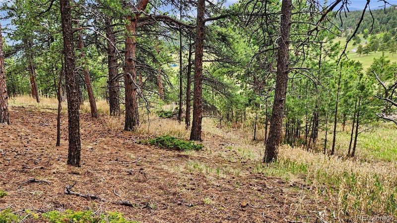 6078 Lone Peak Dr, Evergreen, CO 80439