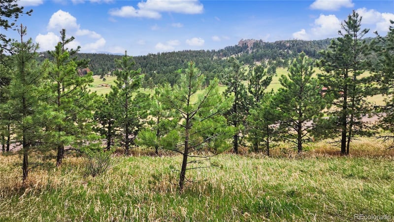 6078 Lone Peak Dr, Evergreen, CO 80439