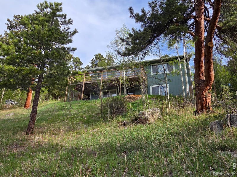 328 N Skinner Rd, Allenspark, CO 80510