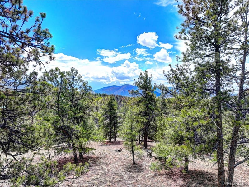 104 York Ct, Jefferson, CO 80456