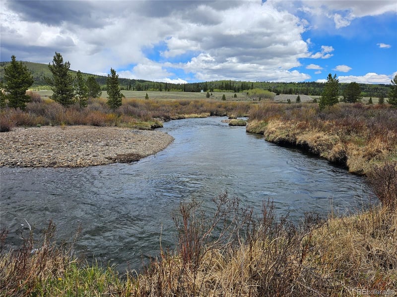 700 Looney Ln, Alma, CO 80420