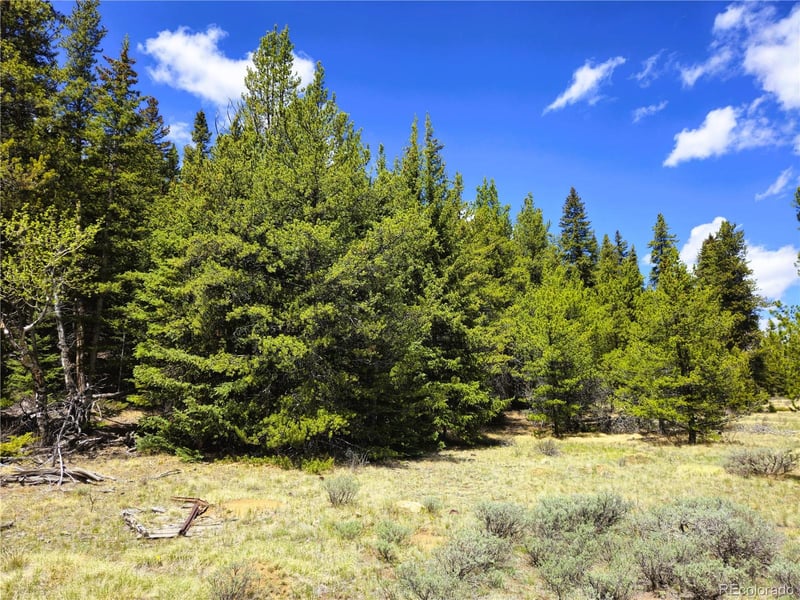 Looney Ln, Fairplay, CO 80440