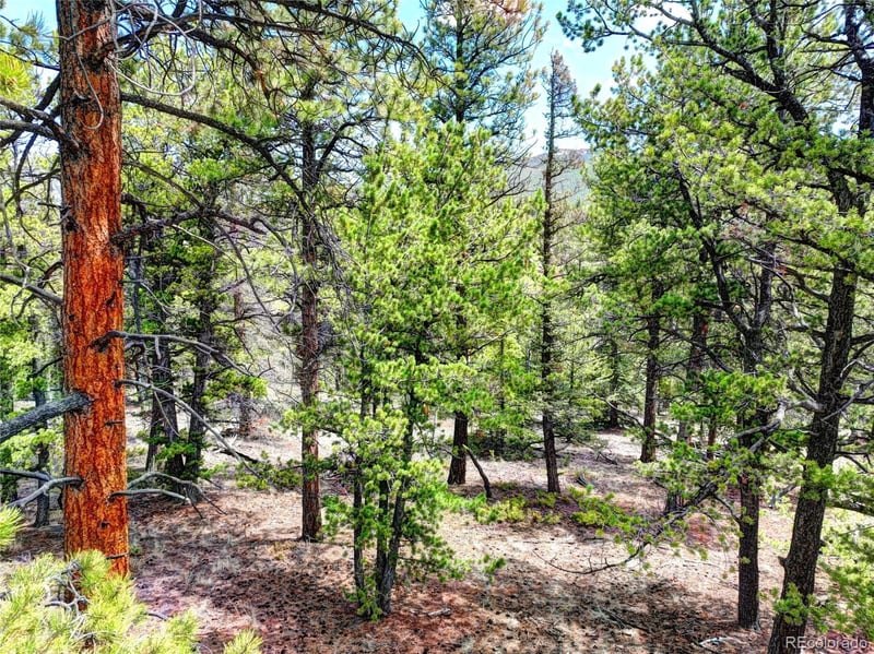 0 York Ct, Jefferson, CO 80456