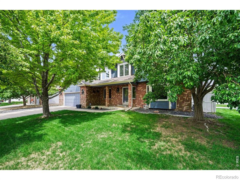 204 Pelican Cv, Windsor, CO 80550
