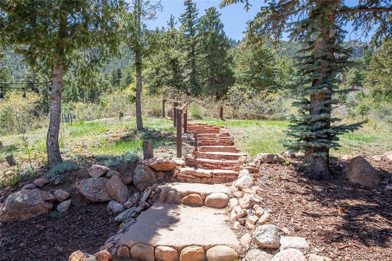 9850 Mohawk Trl, Cascade, CO 80809