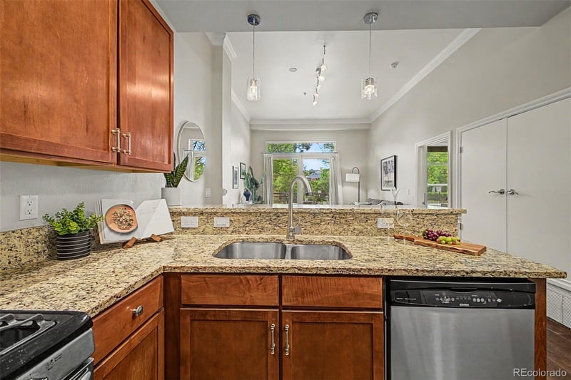 1700 N Emerson St #205, Denver, CO 80218