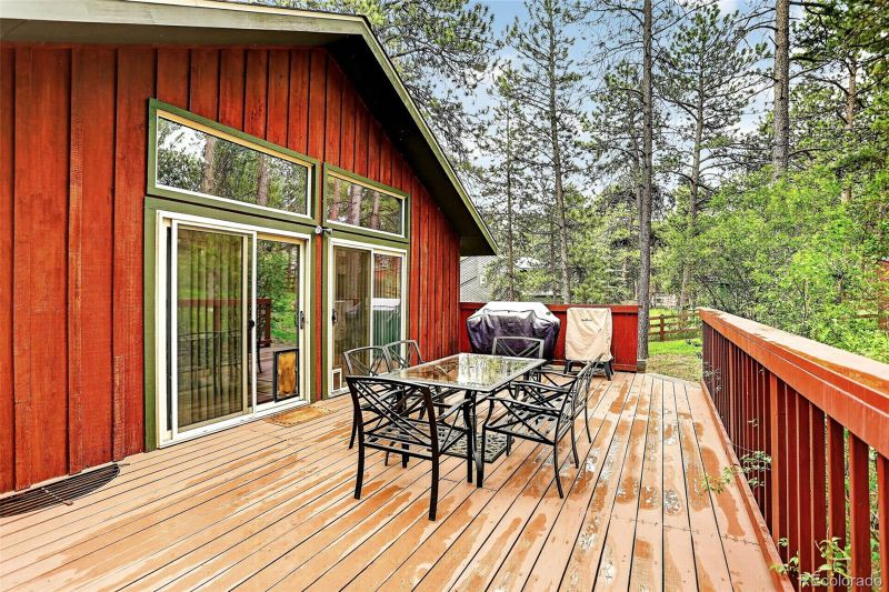 28110 Pine Dr, Evergreen, CO 80439