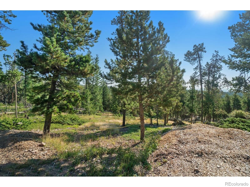 231 Granite Dr, Drake, CO 80515
