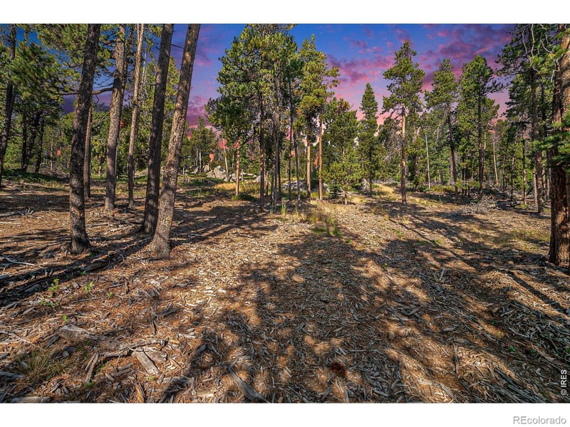 231 Granite Dr, Drake, CO 80515
