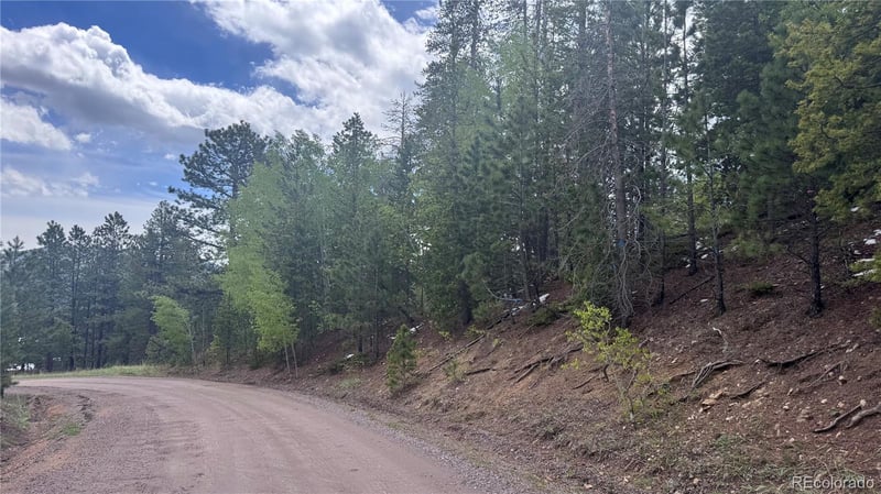 717 Crescent Lake Rd, Golden, CO 80403