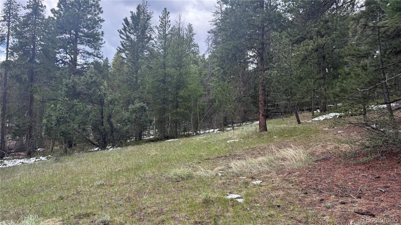 717 Crescent Lake Rd, Golden, CO 80403