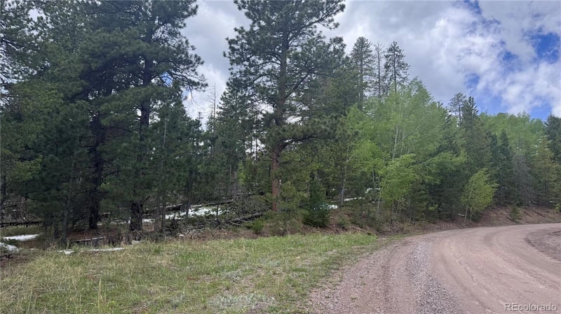 717 Crescent Lake Rd, Golden, CO 80403