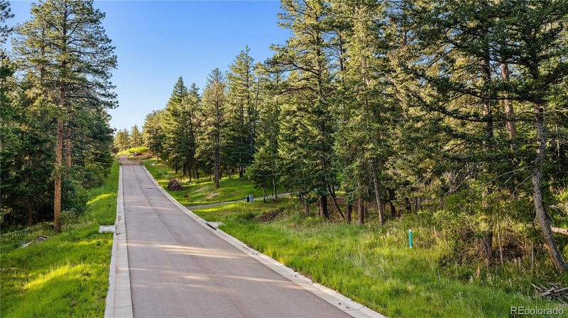 8125 Bannock Dr, Larkspur, CO 80118