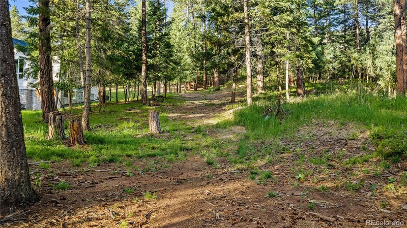 8125 Bannock Dr, Larkspur, CO 80118