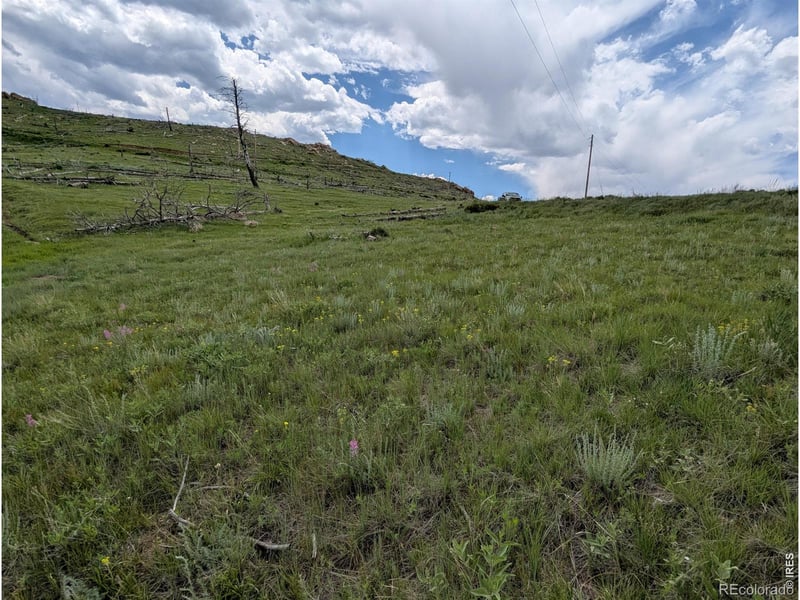 598 Mount Mcconnell Dr, Livermore, CO 80536