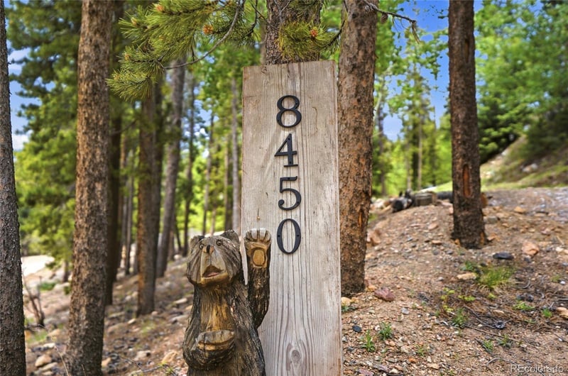 8450 London Ln, Conifer, CO 80433