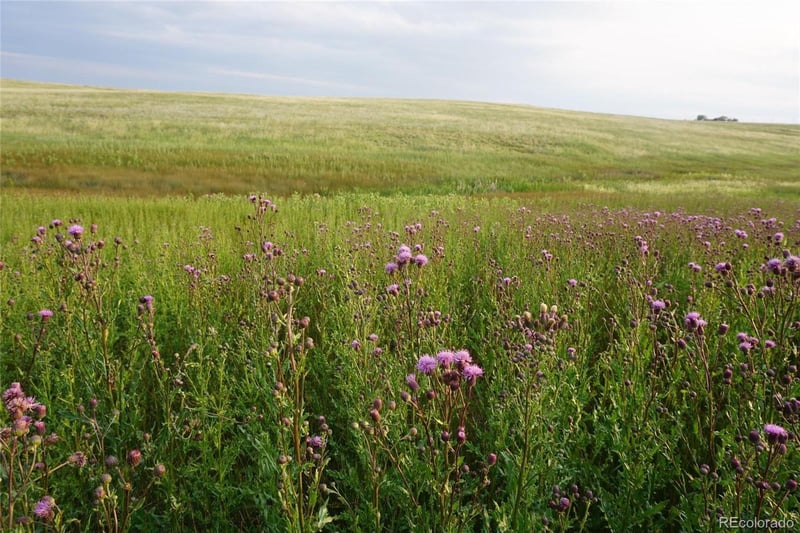 10183 Rolling Vista Trl, Elizabeth, CO 80107