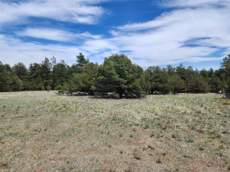 000 7th Trl, Cotopaxi, CO 81223