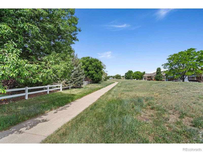 114 Whitney Ct, Windsor, CO 80550