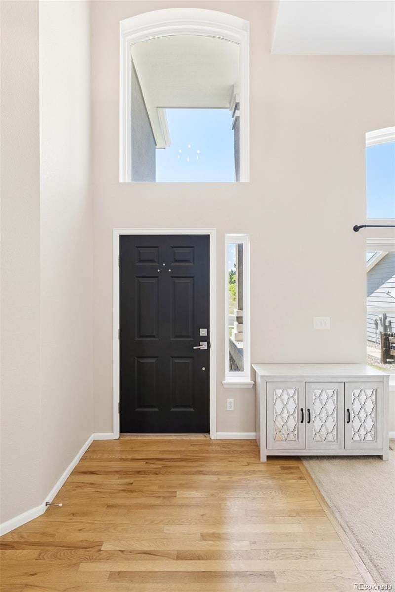 11774 Pine Hill St, Parker, CO 80138