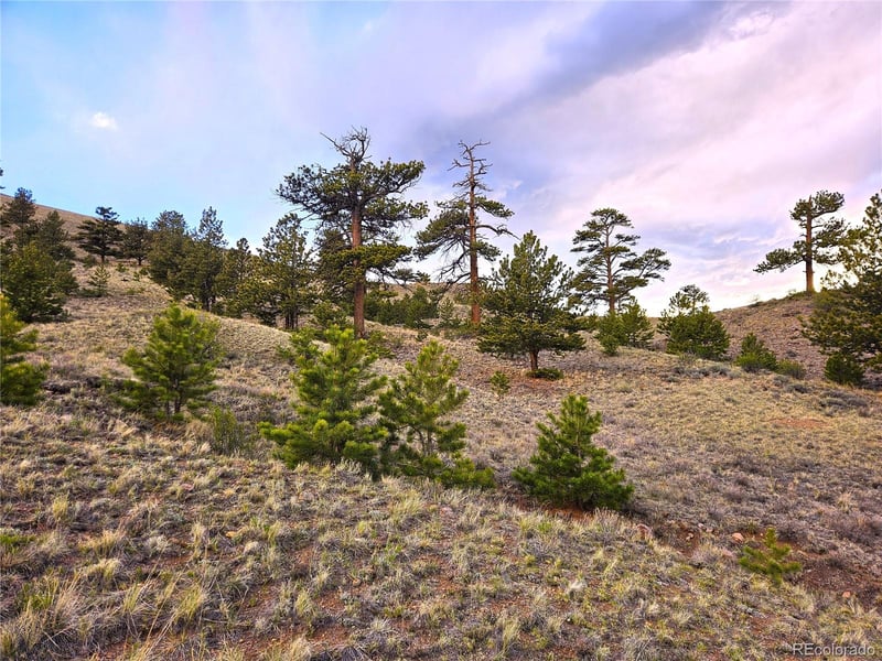 0 Yuma Rd Lot 6231, Hartsel, CO 80449