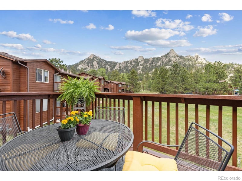 503 Fall River Ln #D, Estes Park, CO 80517