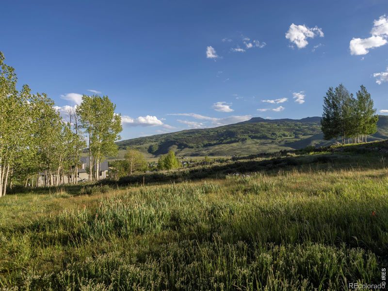 451 Zeligman St, Crested Butte, CO 81224