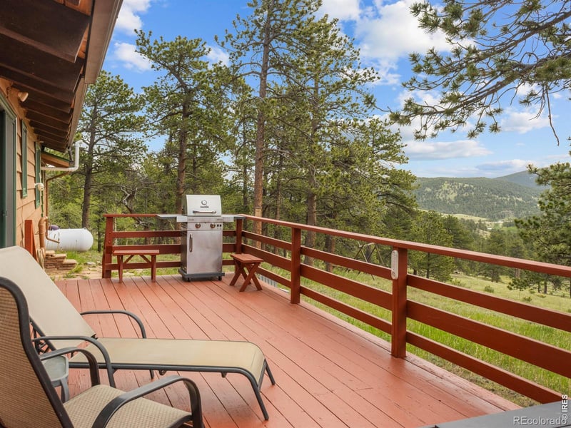 839 Ski Rd, Allenspark, CO 80510