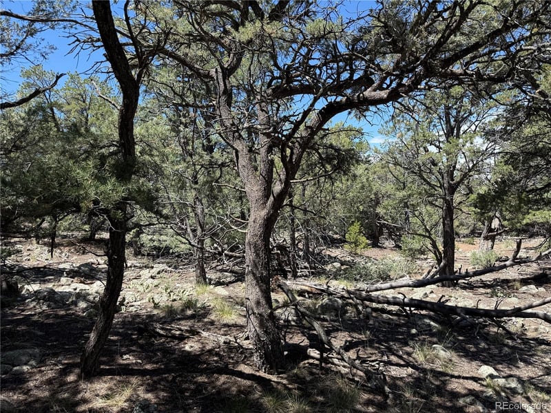 2150 Indian Well Way, Crestone, CO 81131