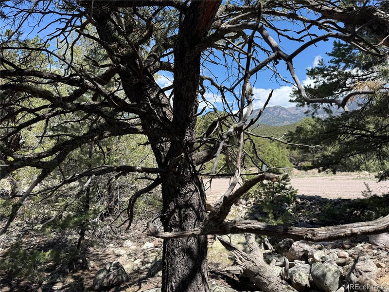 2150 Indian Well Way, Crestone, CO 81131