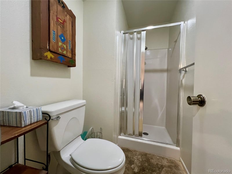 244 Lodgepole St #15, Dillon, CO 80435